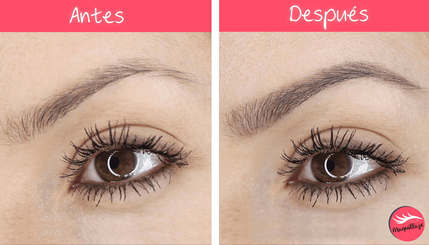 8 consejos para lucir unas cejas perfectas