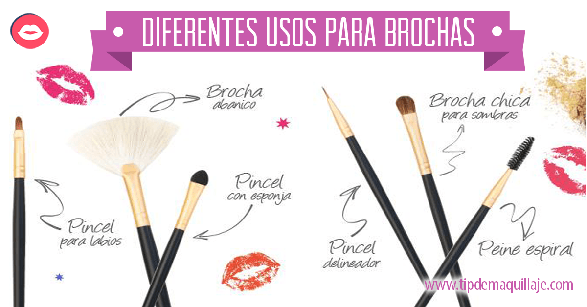 TIPOS DE BROCHAS Y PARA QUE SE USA CADA UNA
